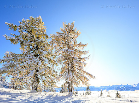 THEMENBILD, Wetter, Neuschnee im November