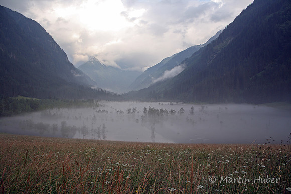 Der Tettersee - Überflutung des Tettermoores am 29.06.2009