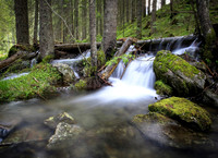 Schneewasser im Riesachbach