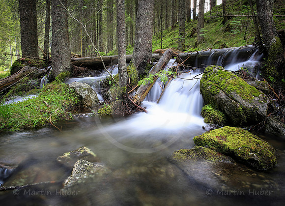 Schneewasser im Riesachbach