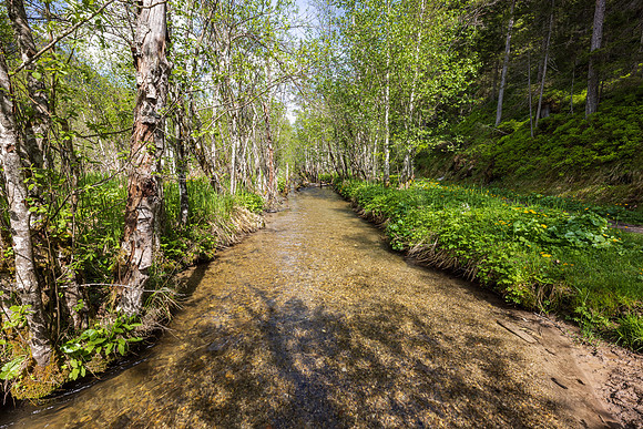 Ramsaubach, Hofrat-Gruber-Weg