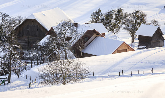 THEMENBILD, Winter in der Steiermark