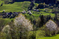 THEMENBILD, Frühling in den Bergen