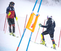 AUT, Training Reiteralm, Slalom