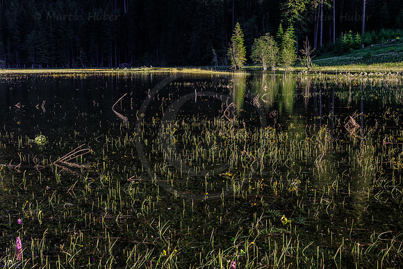 THEMENBILD, Frühling in den Bergen, Schmelzwasser
