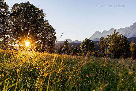 THEMENBILD, Wetter, Sommer in Österreich