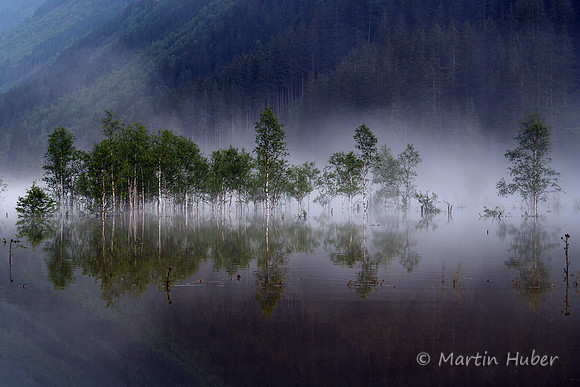 Der Tettersee - Überflutung des Tettermoores am 29.06.2009