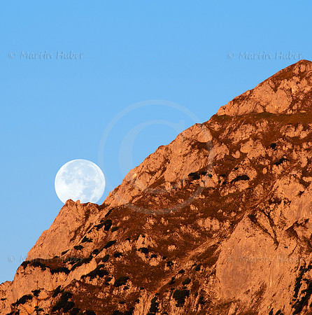 Vollmond und Roetelstein
