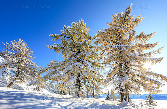 THEMENBILD, Wetter, Neuschnee im November
