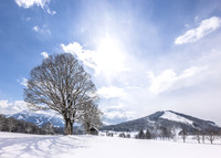 THEMENBILD, Wintereinbruch, Aprilwetter