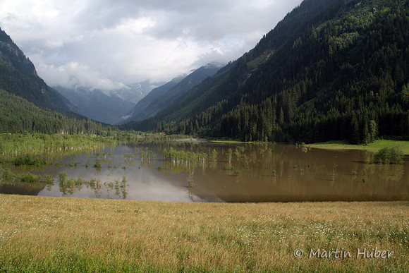 Der Tettersee - Überflutung des Tettermoores am 29.06.2009