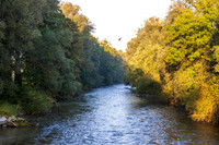 Die Enns nahe Lehen-Brücke