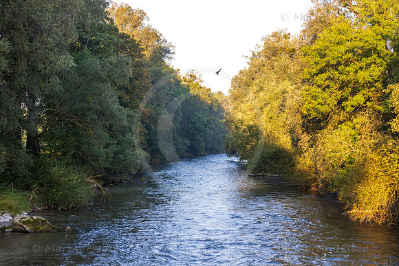 Die Enns nahe Lehen-Brücke