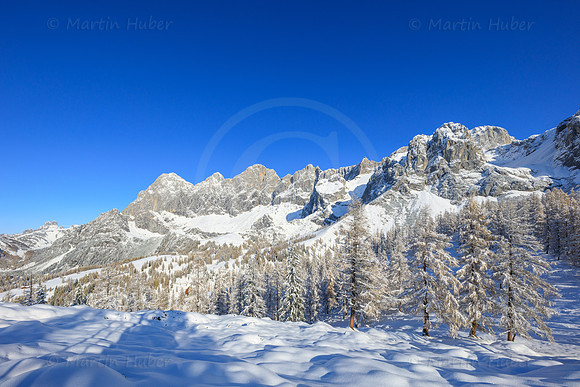 Brandriedel, Dachstein