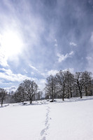 THEMENBILD, Wintereinbruch, Aprilwetter