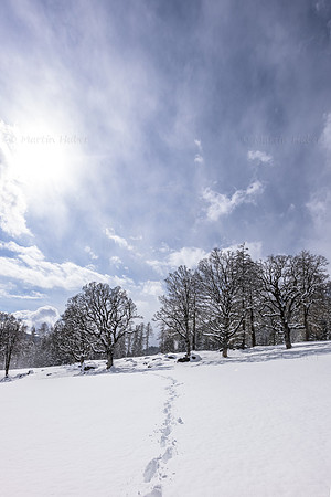 THEMENBILD, Wintereinbruch, Aprilwetter