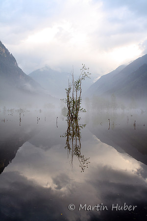 Der Tettersee - Überflutung des Tettermoores am 29.06.2009