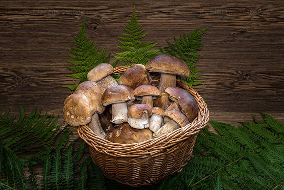 Food-Fotografie, Steinpilze und Herrenpilze