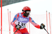AUT, FIS Weltmeisterschaften Ski Alpin, Schladming 2013