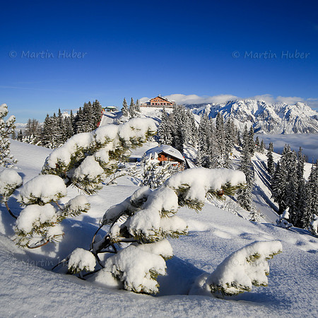Neuschnee auf der Hochwurzen