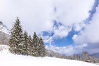 THEMENBILD, Wintereinbruch, Aprilwetter