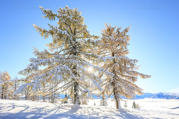 THEMENBILD, Wetter, Neuschnee im November