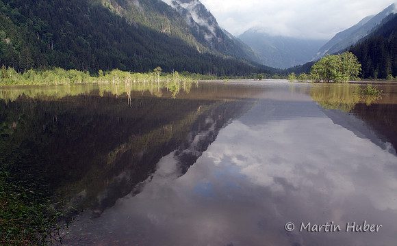 Der Tettersee - Überflutung des Tettermoores am 29.06.2009