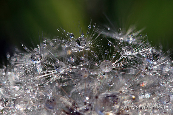 Drops