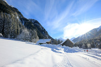 THEMENBILD, Winter und Frost in der Steiermark
