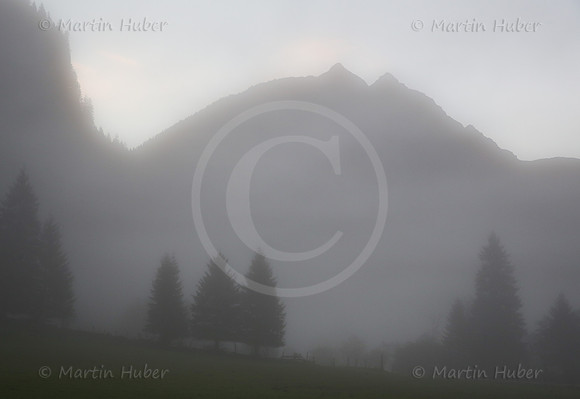 Morgennebel im Untertal