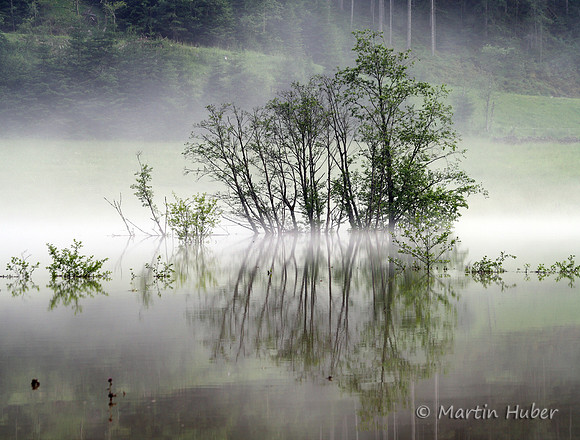 Der Tettersee - Überflutung des Tettermoores am 29.06.2009