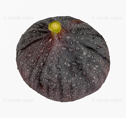 Frucht, frische Feige