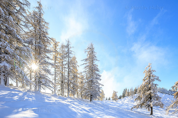THEMENBILD, Wetter, Neuschnee im November