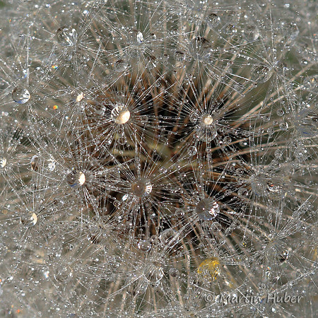 Drops