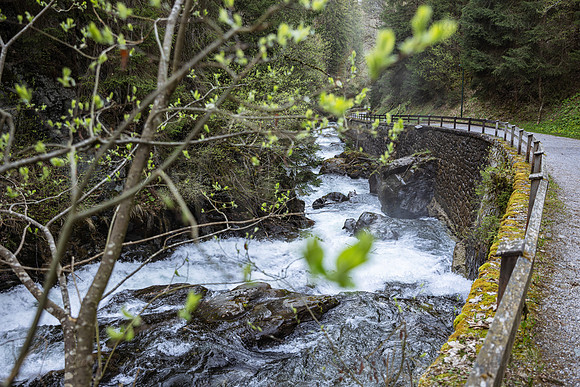Frühlingserwachen in der Talbachklamm