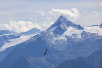 THEMENBILD, unterwegs in Österreich, Zell am See
