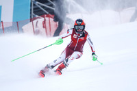 Damen Nachtslalom 2022, Hangbefahrung