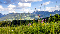 Bio-Lehrpfad Ramsau am Dachstein