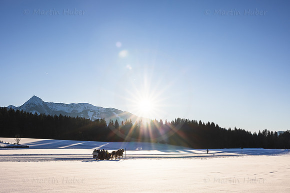Winter, Pferdeschlitten