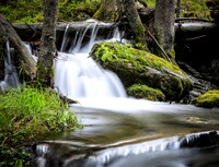 Schneewasser im Riesachbach
