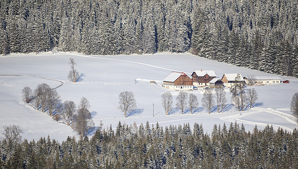 THEMENBILD, Winter in der Steiermark