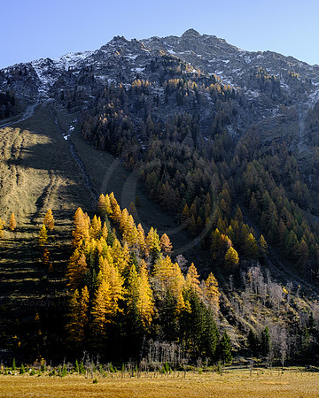 Spätherbst und Lärchengold, hinteres Weißpriachtal