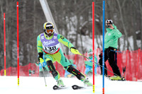 AUT, FIS Weltmeisterschaften Ski Alpin, Schladming 2013