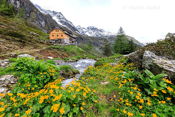 THEMENBILD, Bergfrühling in den Niederen Tauern