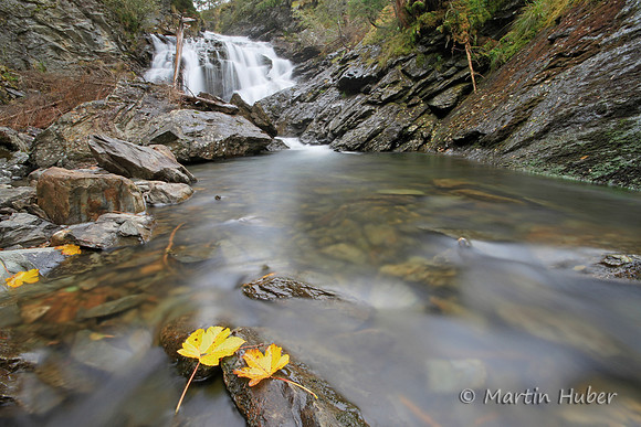 Wilde Wasser, ganz still