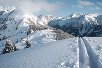 THEMENBILD, Winter, Skitour