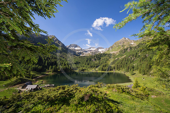Almsommer am Duisitzkarsee