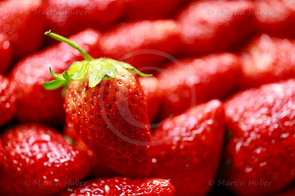 Food-Fotografie, Erdbeeren