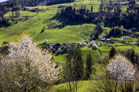 THEMENBILD, Frühling in den Bergen
