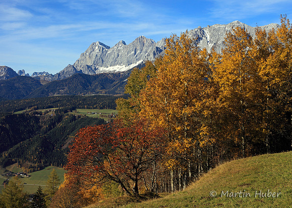 Herbst am Fastenberg